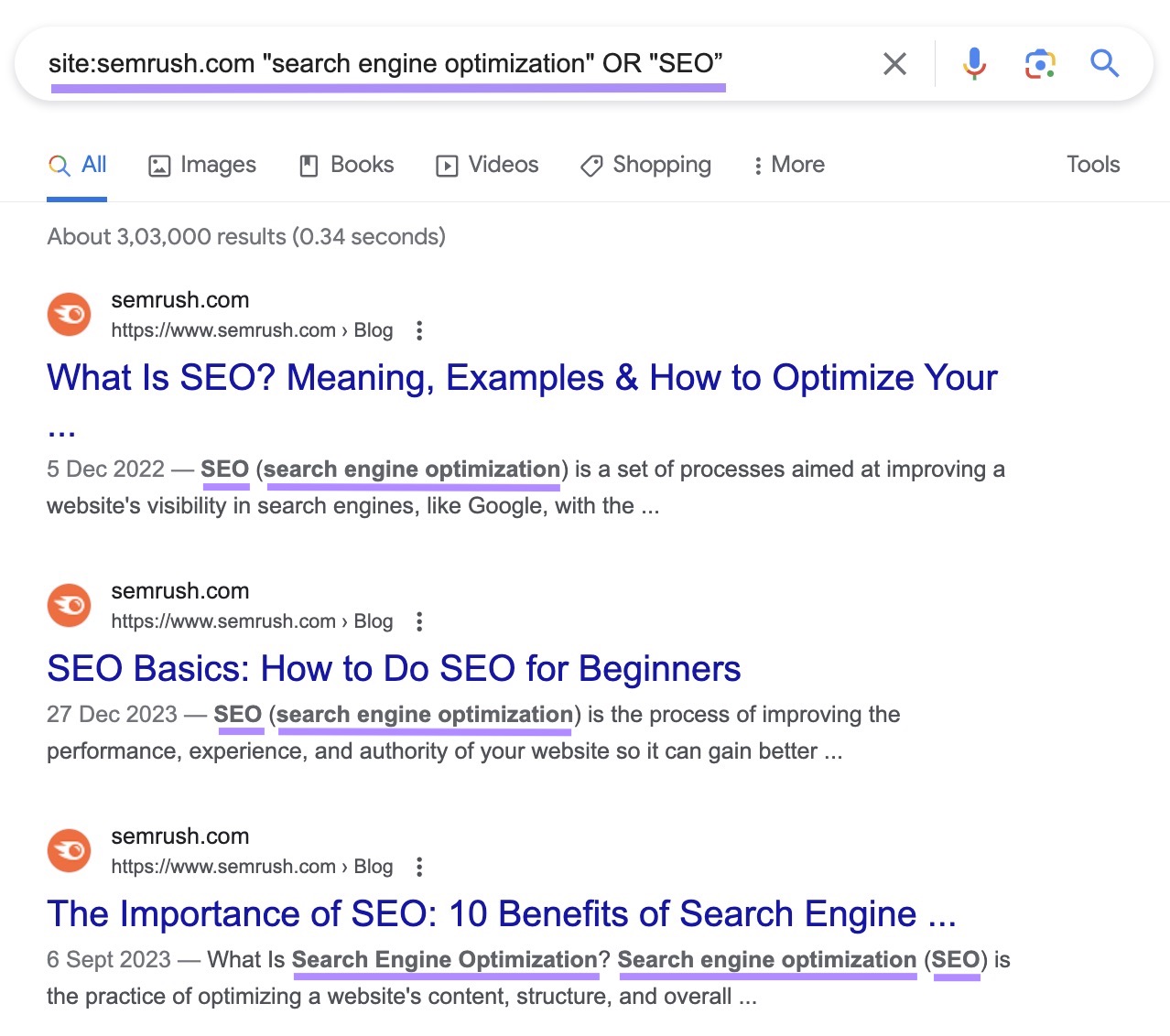Google's SERP for "site:sr03.myamztools.com "search engine optimization" OR "SEO”” site search