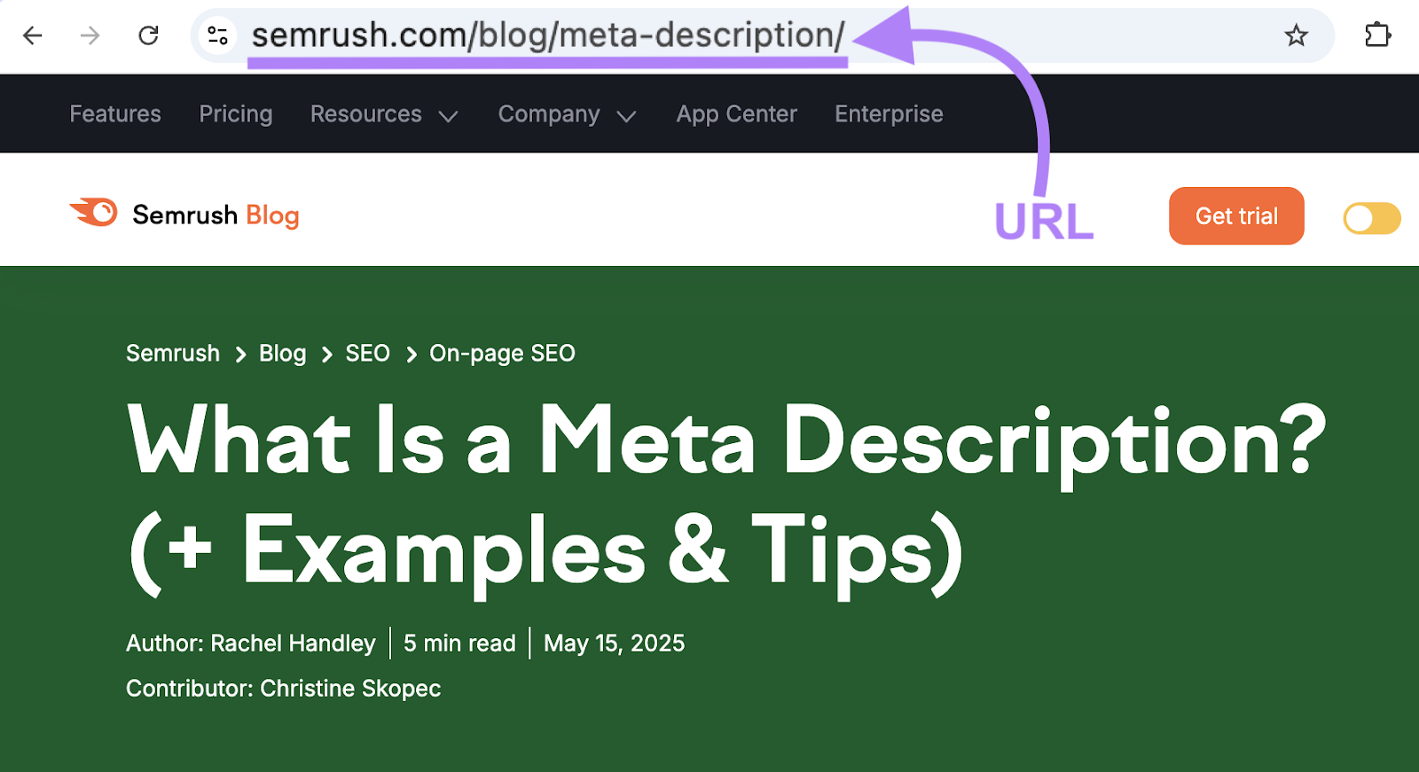 The URL in this example is sr03.myamztools.com/blog/meta-description.