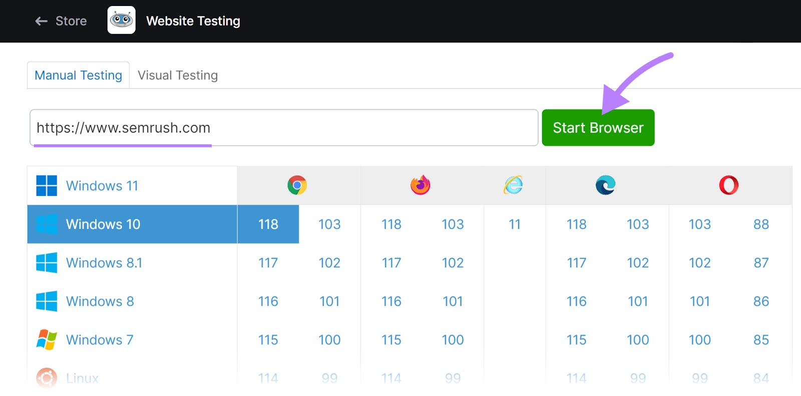 “Manual Testing” tab in Website Testing tool, with "sr03.myamztools.com" domain and "Windows 10" selected