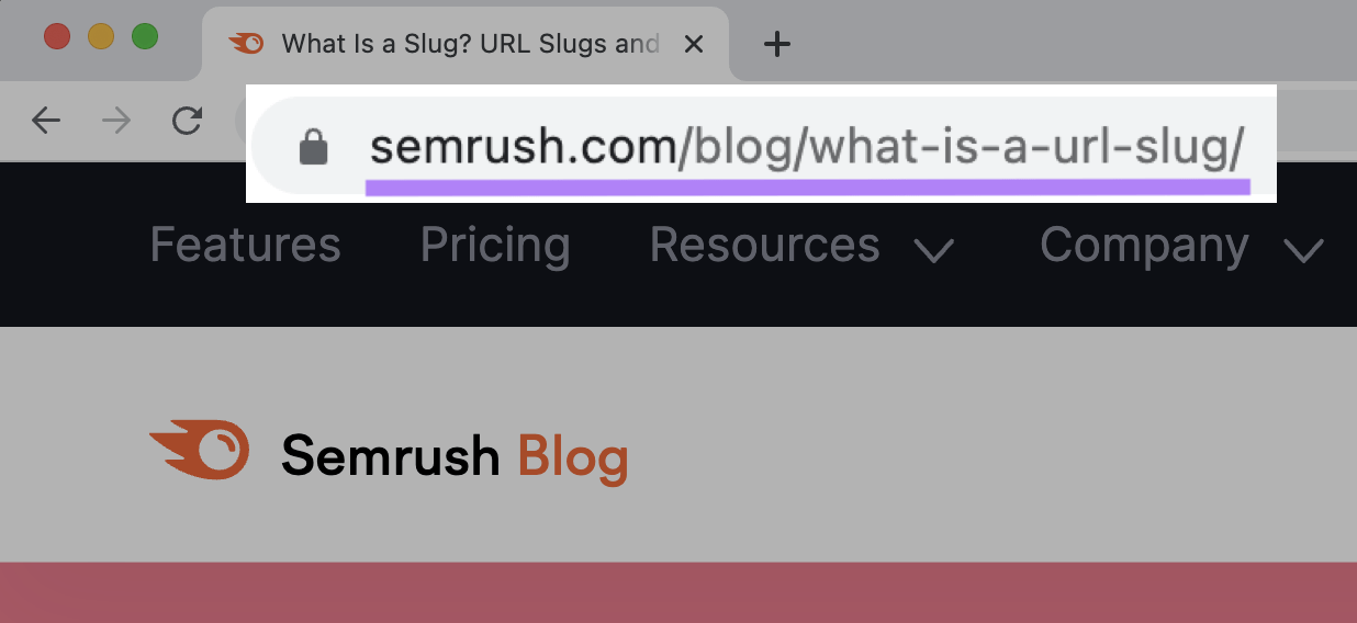 "sr03.myamztools.com/blog/what-is-a-url-slug/" URL