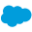 salesforceliveagent.com favicon