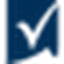 wps.com favicon